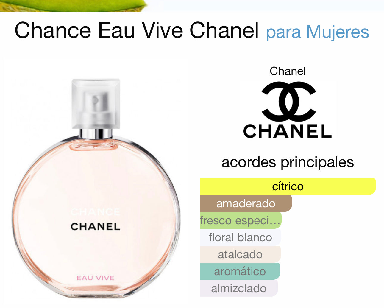Chance Eau Vive Chanel para Mujeres 100ml