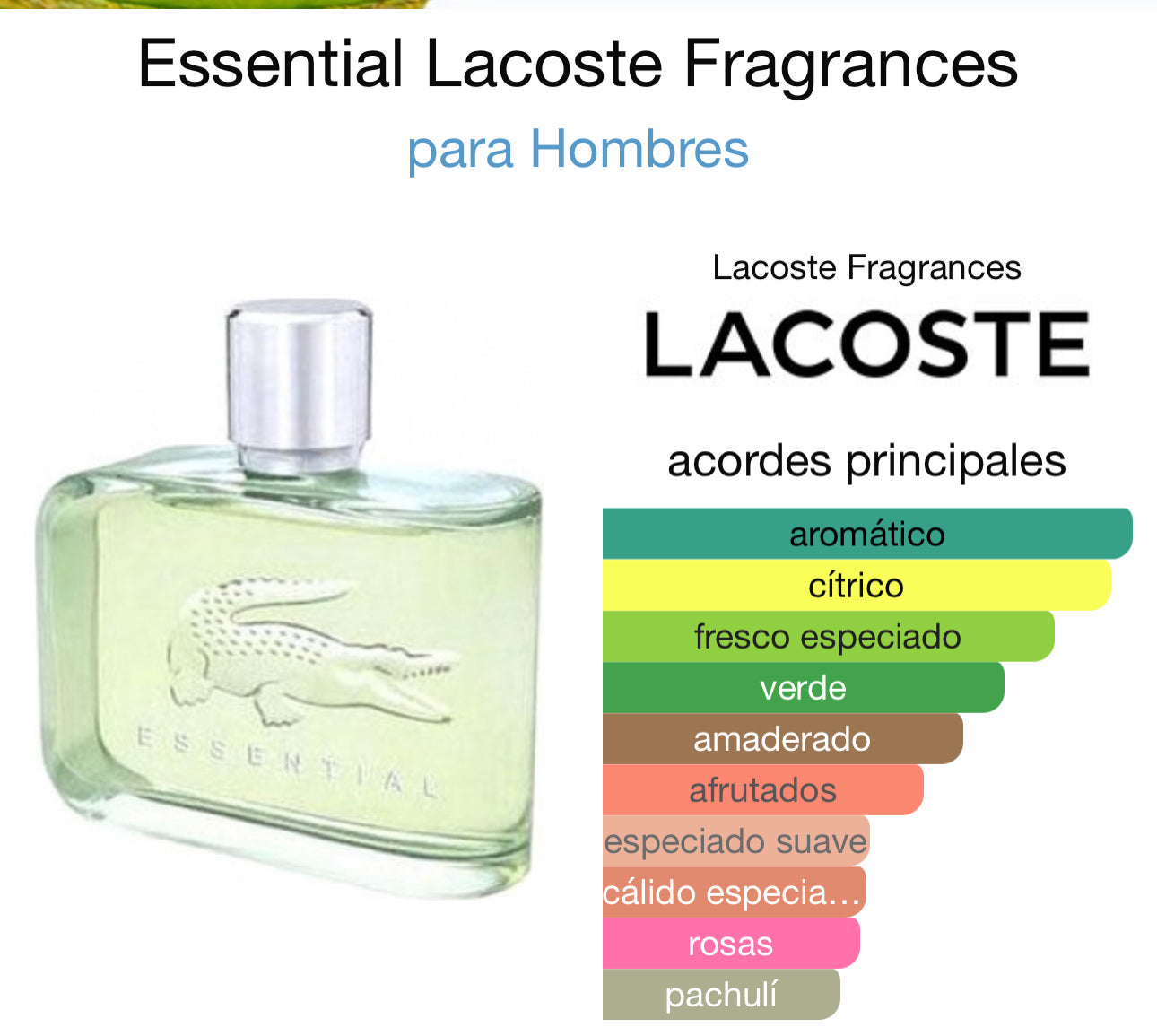 Essential Lacoste Fragrances EDT 125ml
