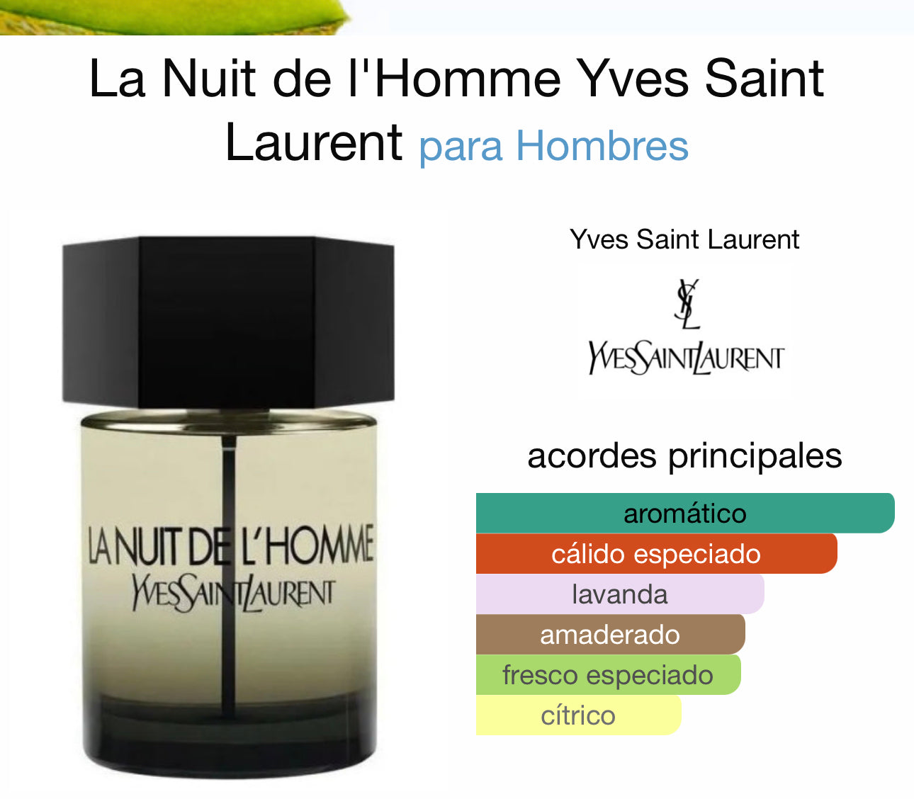 La Nuit de l'Homme Yves Saint Laurent EDT 100ml