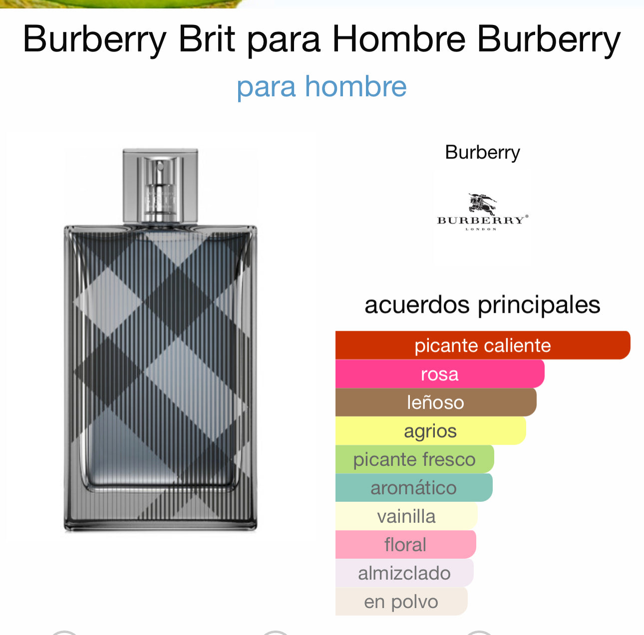 Burberry Brit para Hombre Burberry para hombre EDT 100ml
