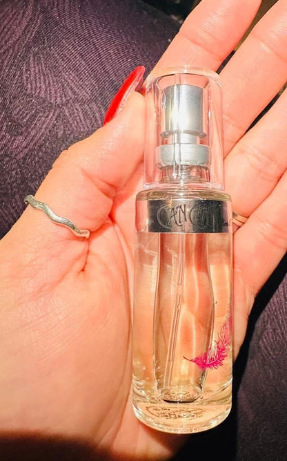 MINI Perfumes, para viaje, bolsillo y colección venta por mayoreo de 20 piezas en adelante $160 c/u